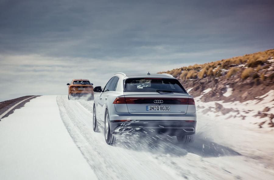 Audi Q8 50 TDI Quattro 2018 года  (WW) (фото 16 из 25)